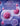 Medical Law TCM 7e