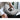 Alternate-Image3 Image for SIIG 1x2 USB-C to HDMI 4K60 MST Hub Splitter