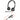 Main Image for Poly Blackwire 3325 Headset +USB-C/A Adapter TAA