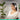 Alternate-Image5 Image for Logitech Zone 300 Wireless Bluetooth Headset With Noise-Canceling Microphone, Compatible with Windows, Mac, Chrome, Linux, iOS, iPadOS, Android - Off-white