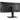 Alternate-Image1 Image for LG 34BQ77QE-B 34" Class Curved Screen LED Monitor - 21:9 - Textured Black - TAA Compliant