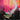 Life-Style Image for SOUNDBOKS Lightboks Party Light