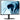 Main Image for Dell Pro P P2426 24" Class WUXGA LED Monitor - 16:10 - Dark Gray - TAA Compliant