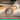 Alternate-Image3 Image for Logitech Signature Comfort Plus M850 L Wireless Mouse, Bluetooth Mouse with Palm Cushion, Silent Clicks, Off-white