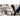 Alternate-Image16 Image for Microsoft Surface Pro (12th Edition) Copilot+ PC Tablet - 13" - vPro Technology - 32 GB - 1 TB SSD - Windows 11 Pro - Platinum