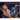 Alternate-Image17 Image for Asus ProArt PA32USD 32" Class 4K UHD OLED Monitor - 16:9