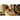 Alternate-Image1 Image for Jabra Evolve3 65 Headset