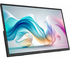 MSI Pro MP165 E6 16" FHD IPS USB-C Multimedia Monitor with HDMI