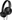 Sony Noise Canceling Headphones